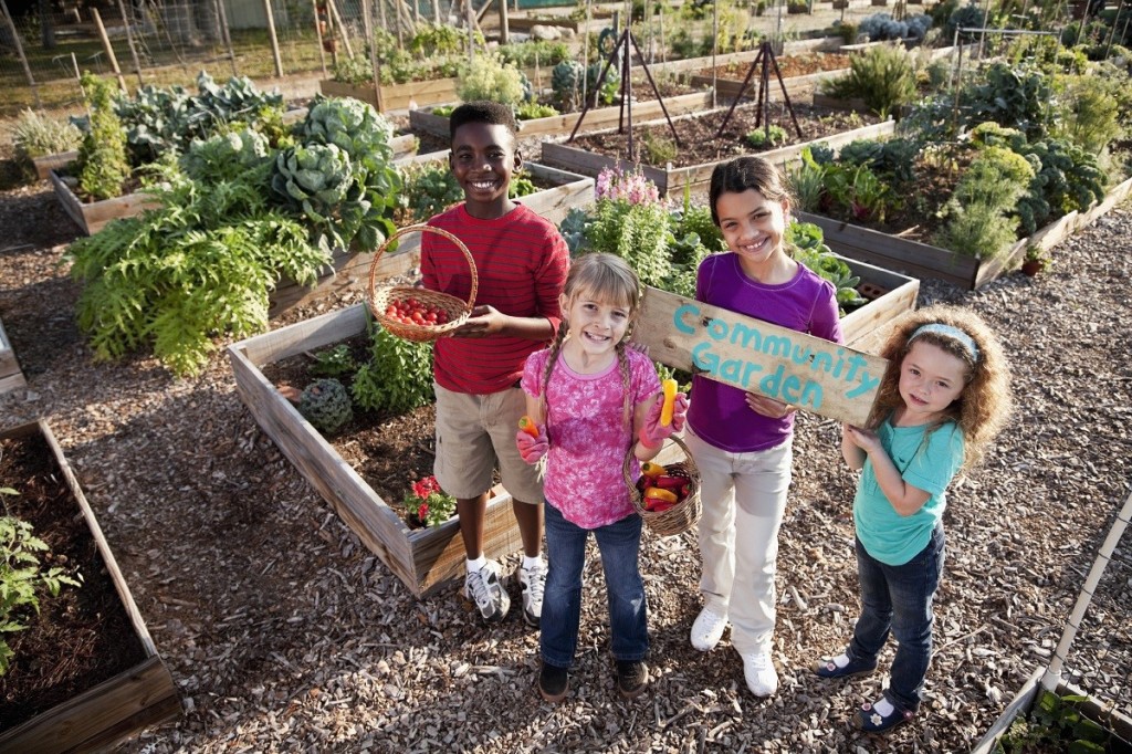 Building a Municipal Community Garden