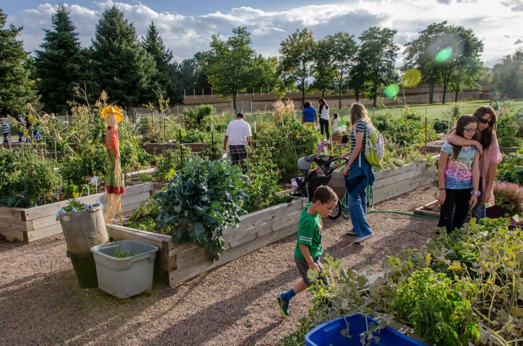 Building a Municipal Community Garden