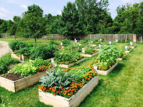 Building a Municipal Community Garden